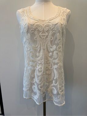 Express Ivory Sheer Mesh Lace Embroidered Top Boho Fairy Festival Gypsy Feminine